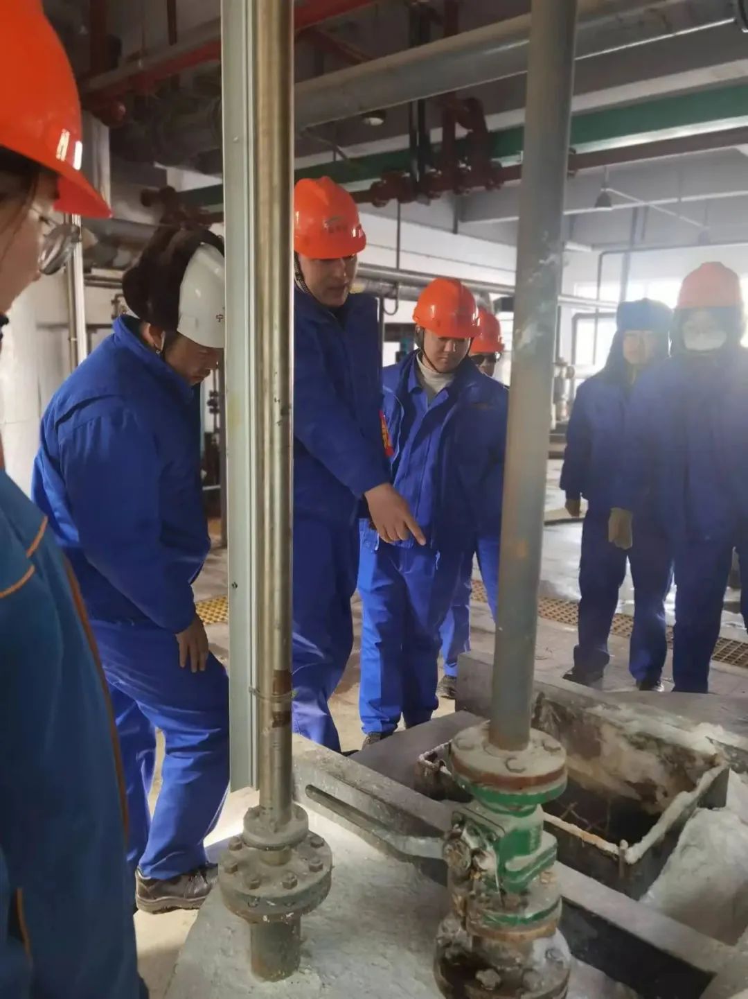 1708396565199896.jpg b5dab06576969707273e65d291b695c8.jpg