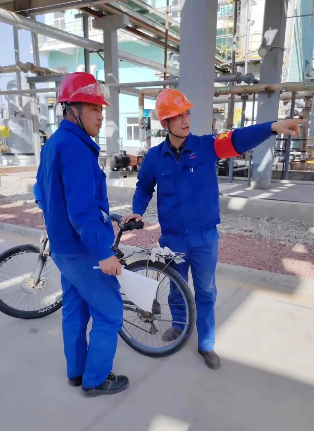 1712558532141341.jpg ea6641f2d47cbb19cfbd97d750e6c14f.jpg