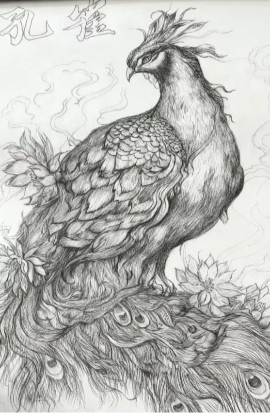 1762134334200998.png 畫1.webp.png